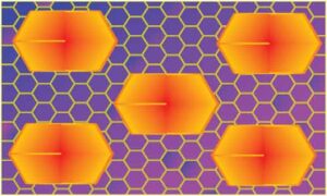 abstract-design-of-honey-bee-net-with-big-hexagon