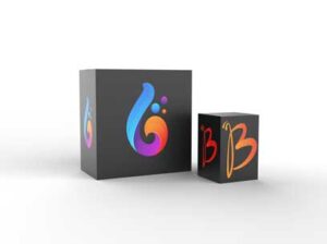 package-box-mock-up-logo
