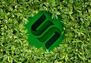 3d logo mock up green leaves wall
