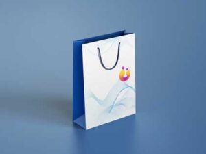 shopping-bags-mock-up-design