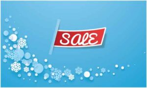 art-of-sale-with-various-snow-flakes-on-abstract-background