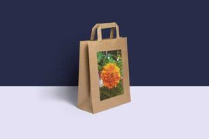 paper-bag-mock-up