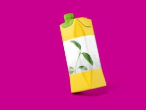 paper-juice-box-mock-up