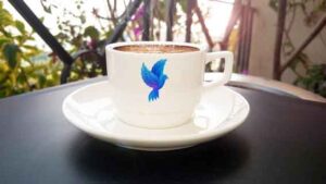 cup-plate-mock-up-with-logo