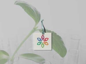 label-tag-mock-up-with-logo