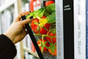 vegetable-book-cover-mock-up