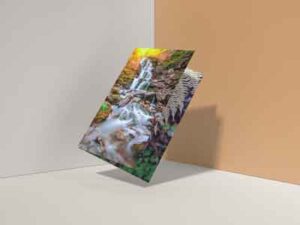 letter-size-half-fold-brochure-mock-up