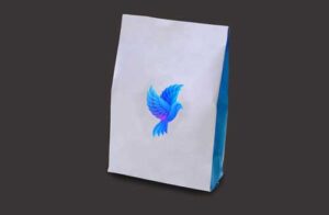 paper-bag-mock-up-with-logo