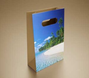 gift-bag-hole-handle-mock-up