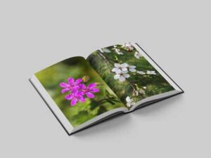 open-book-mock-up