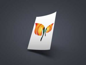 realistic-us-letter-paper-mock-up