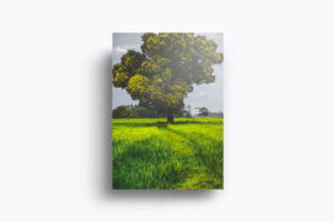 a4-flyer-mock-up-page