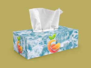 tissue-box-mock-up