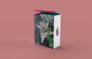 product-box-mock-up