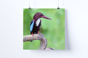 square-hanging-poster-mock-up