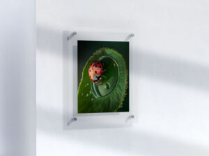 letter-poster-mock-up-in-frame