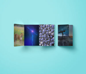 double-gate-fold-brochure-mock-up