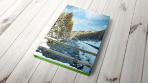 book-on-wooden-surface-mock-up