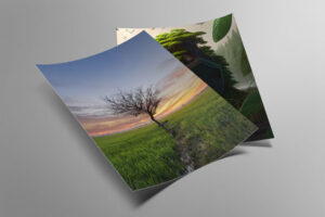 two-paper-Flyer-mock-up
