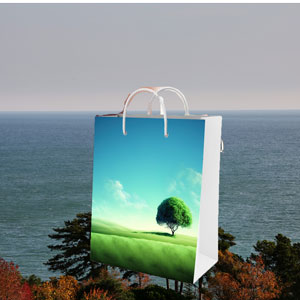 paper-shopping-bag-mock-up