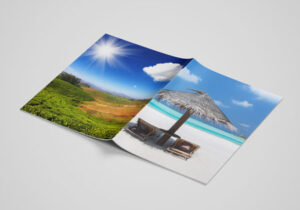 backside-of-a4-brochure-mockup