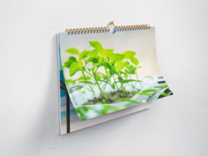 wall-calendar-horizontal-mockup