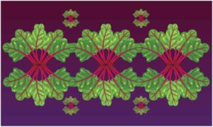 Red and green leave on dark background