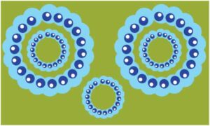 Various blue and white circle