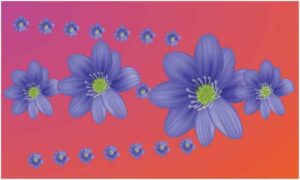 Small and big purple flower on red carpet